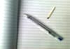everyone loves everybody, write, 100 to 300 high quality rich article for web content