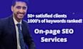 do complete on page SEO of your website