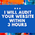 do your website audit within 3 hours
