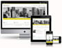 create custom shopify or wordpress store