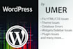 fix bugs, error or develop a wordpress website