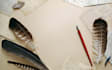write spectacular episodic stories for you