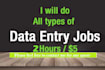 provide fast and quality data entry service