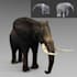 create 3d model animal low poly and realis texture