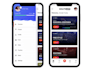 fix or develop custom ios app