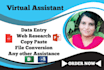 be your virtual assistant for bulk data entry, web research