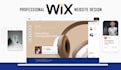 design or redesign wix website professionally