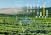assist you in doing agriculture related tasks and projects