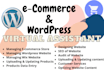 be your virtual assistant for wordpress and ecommerce website