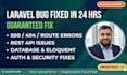 fix laravel bugs, rest API issues, and backend errors