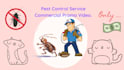 create pest control service commercial promo video