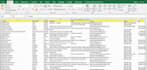 microsoft excel data entry