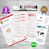make amazing   infographic resume graphical CV