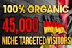 drive real germany targeted web traffic