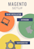 install magento theme and extension