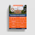 design a creative brochure and flyer