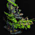 paint your warhammer 40k and age of sigmar miniatures