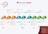 create infographic, charts, process flow and diagrams