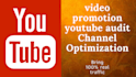 do youtube video and channel SEO optimization, channel audit