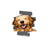 draw pet into awesome cute cartoon