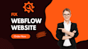 fix your webflow issue and provide an expert support