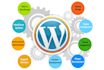do wordpress customization and development