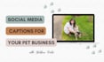create engaging social media captions for your pet blog