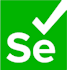 setup a selenium standalone server