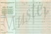 translate your vehicle registration certificate