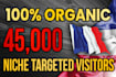 drive real france targeted web traffic