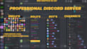make you are professional and fun discord server