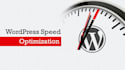 do wordpress website speed optimization, increase page speed