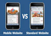 create a professional MOBILE website which will be compatible with all smartphones and tablets