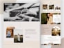 build mobile friendly wordpress website for you