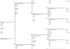 make a 4 generation family tree