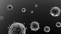 do scientific and medical animations