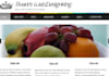make you a professional 5 page HTML website
