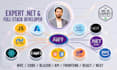do asp net mvc, asp net core, web api, web app and blazor