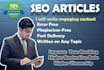 write SEO articles and blogs on any topic