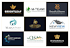 do business logo design , update , redesign or edit