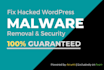 recover hacked wordpress, website security, remove malware