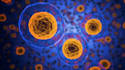 do biology and microbiology tasks