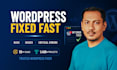 fix wordpress issues, bugs, errors or customize fast
