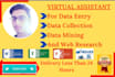 do data entry, copy paste, microsoft excel, virtual assistant, web search work