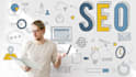 fix wordpress SEO issues within 4 hours