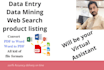 be your virtual assistant, data entry, web research
