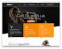 build beautiful website template using html and css