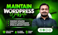 do wordpress website maintenance and wordpress support or help