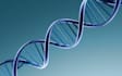research, write and proofread biological and medical science articles