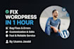 do wordpress customization and maintenance updates for you